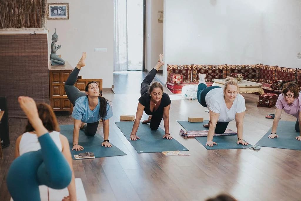 Yoga Consciente & Hatha