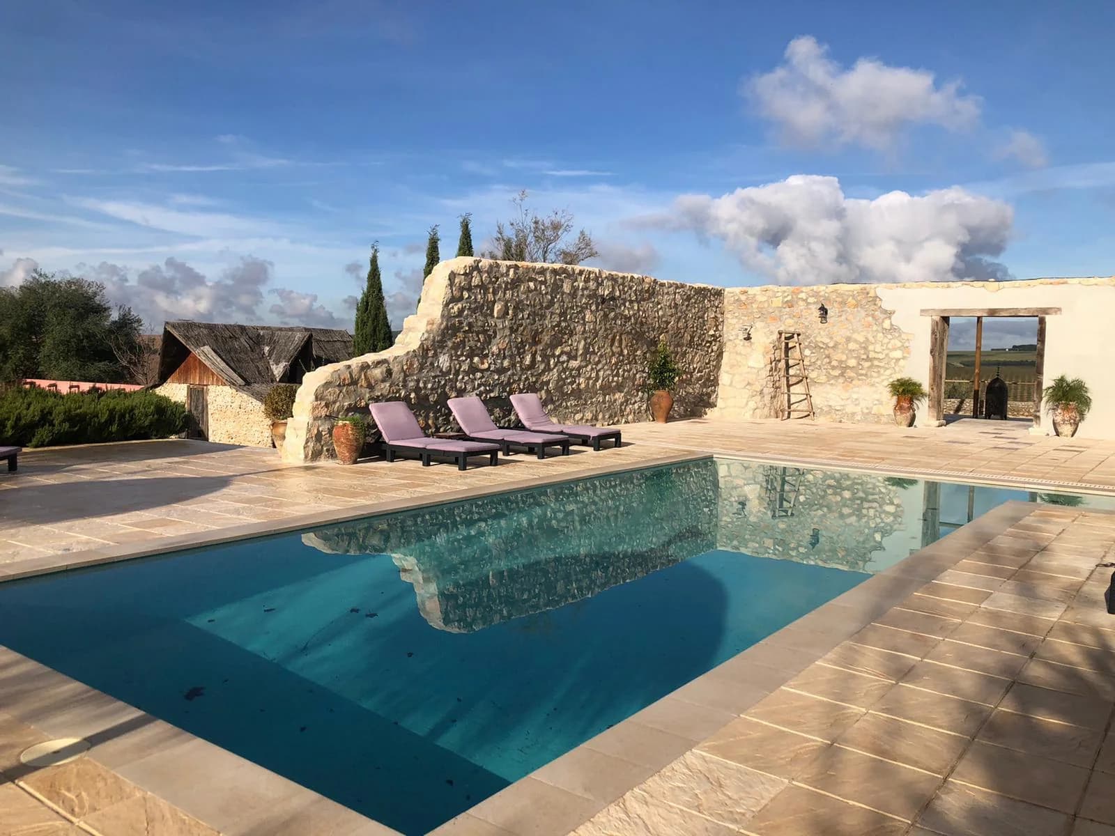 Piscina exterior de Cortijo San José con vistas a los olivares